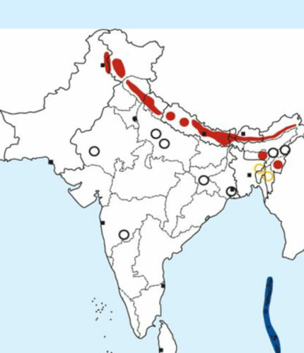 Himalayan Cuckoo Map