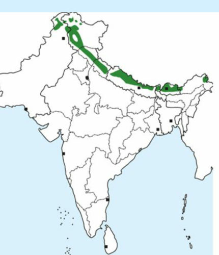 Himalayan monal map