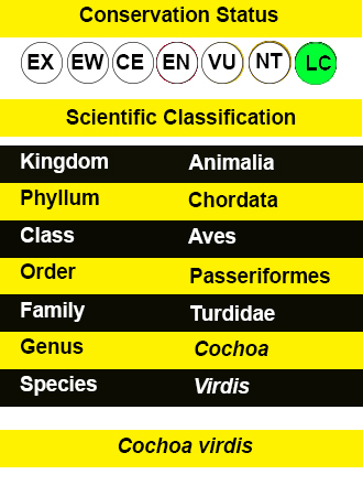 Green Cochua iucn