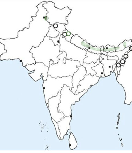 Honeyguide Map